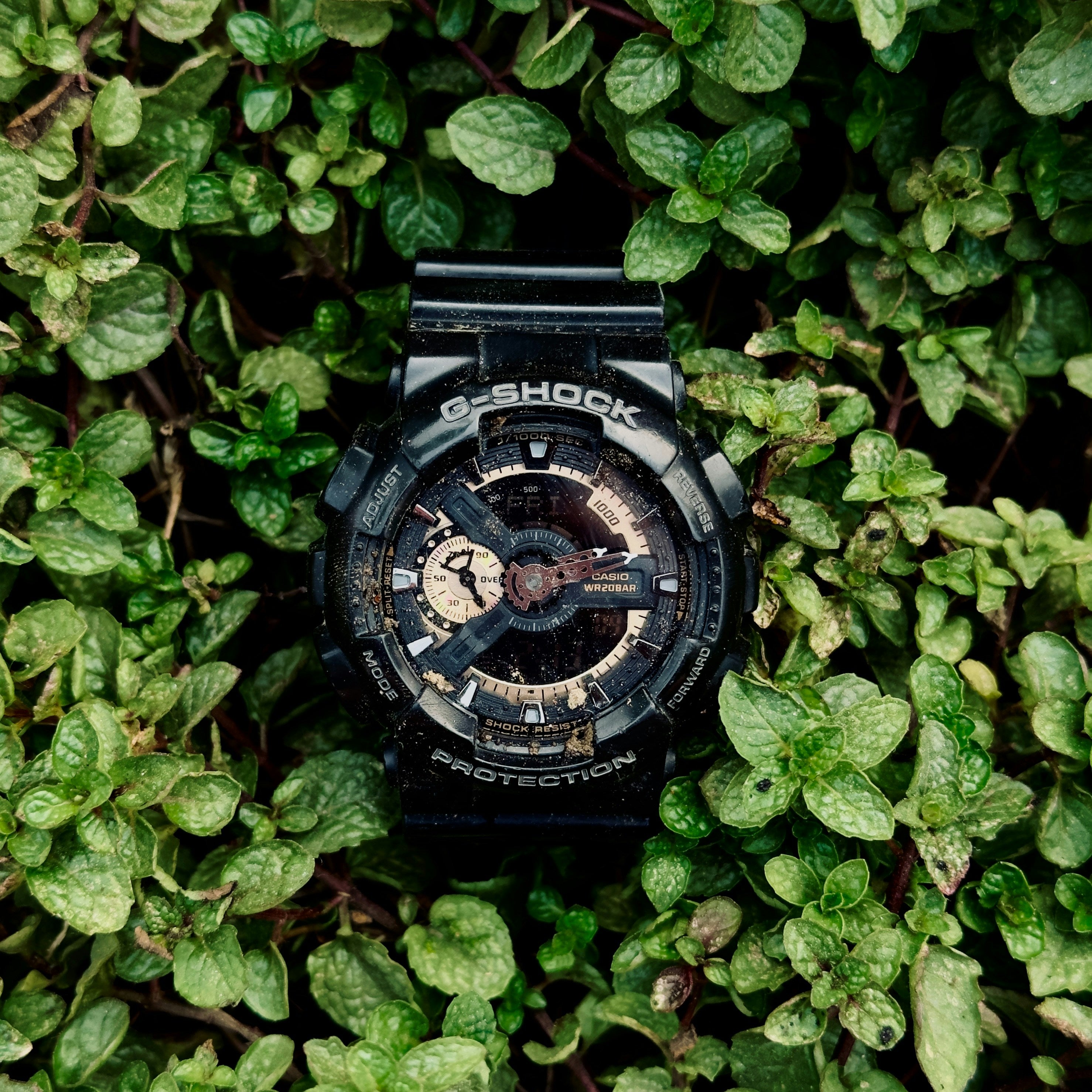 Casio G-Shock