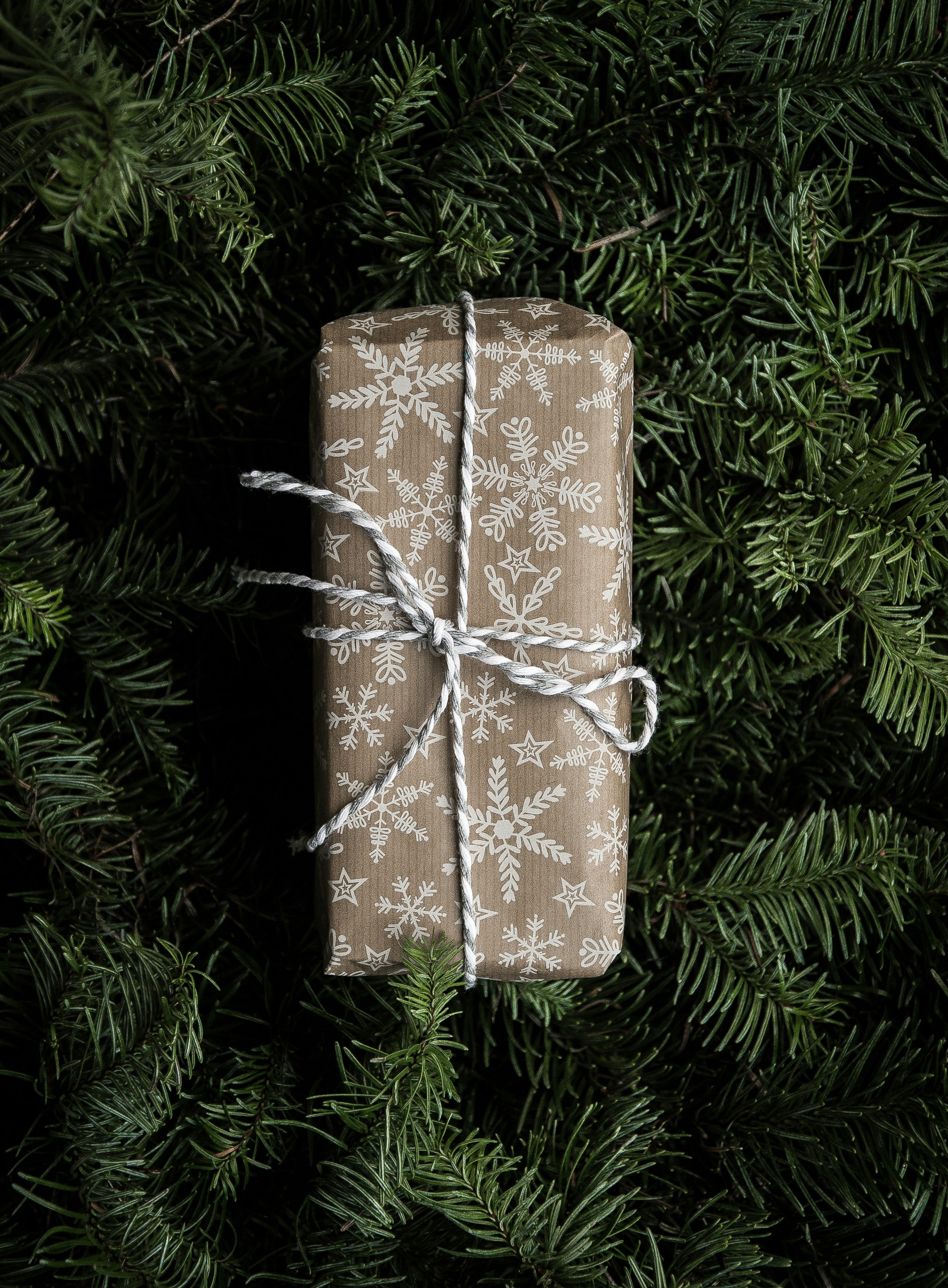 Les Fêtes de Noël chez Coquette Style 🎁