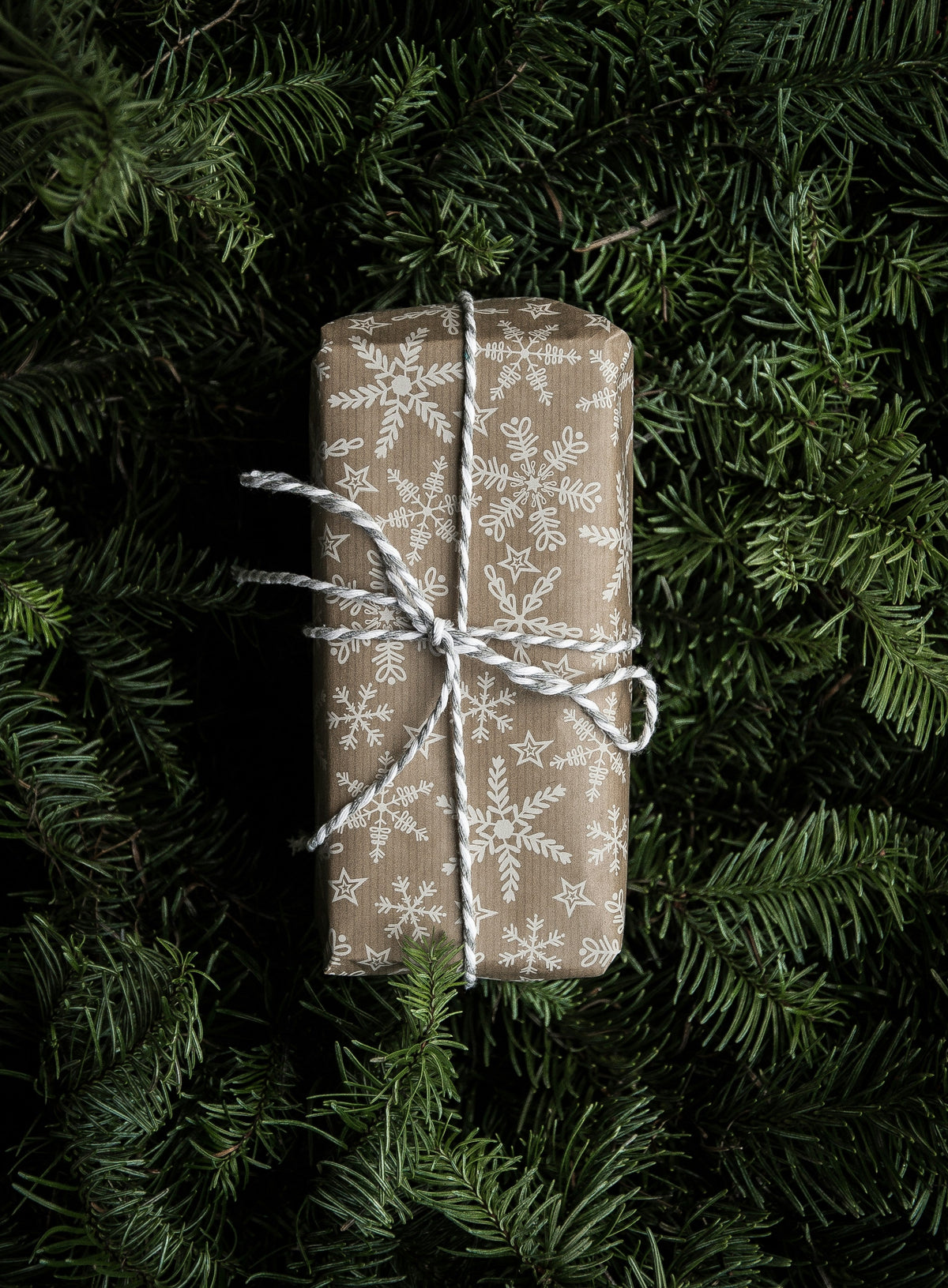 Les Fêtes de Noël chez Coquette Style 🎁