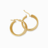 Velocia earring