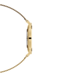 Daniel Wellington